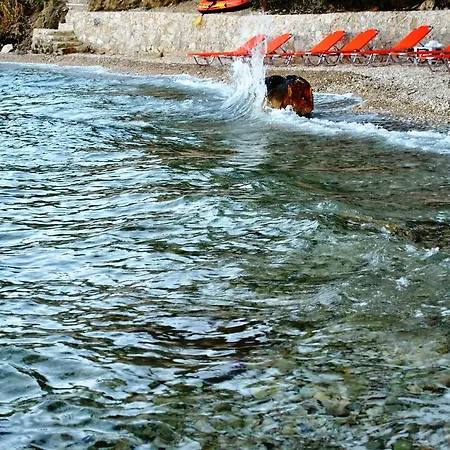 One Vision Apartamento Nikiana