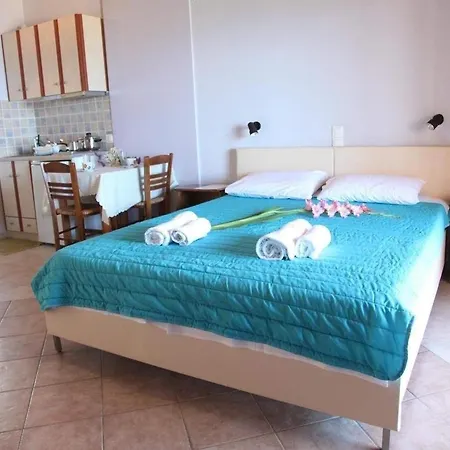 同一视野公寓 * 尼基亚娜