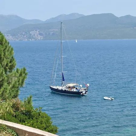 Lejlighed One Vision Nikiana